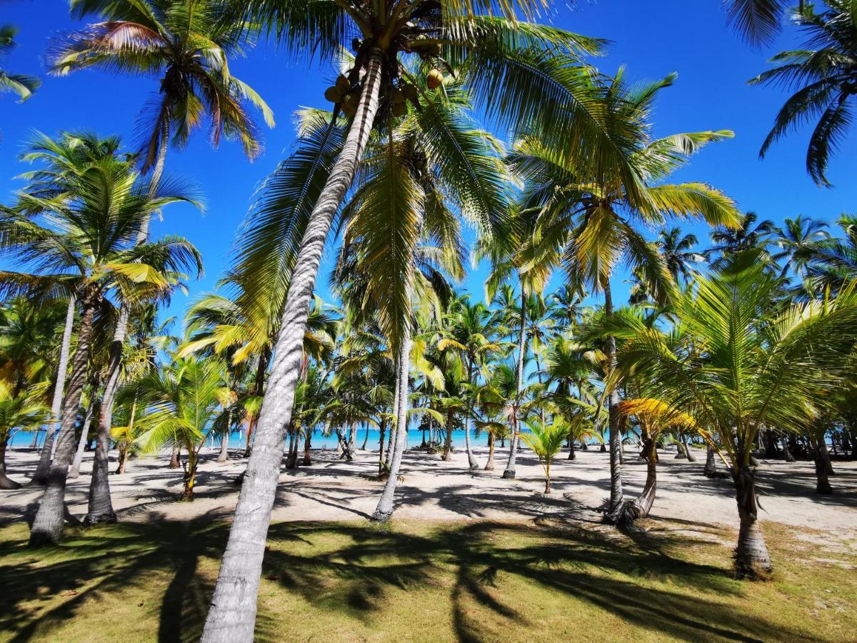 Hotel Playa Mandala Palomino Exterior photo