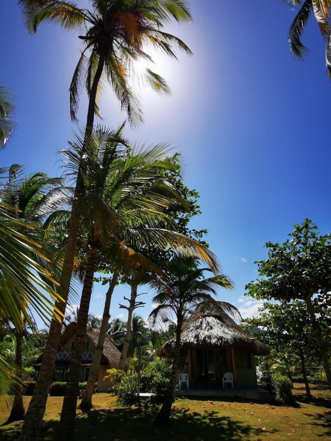 Hotel Playa Mandala Palomino Exterior photo